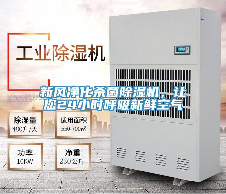 新风净化杀菌91免费网站在线观看，让您24小时呼吸新鲜空气