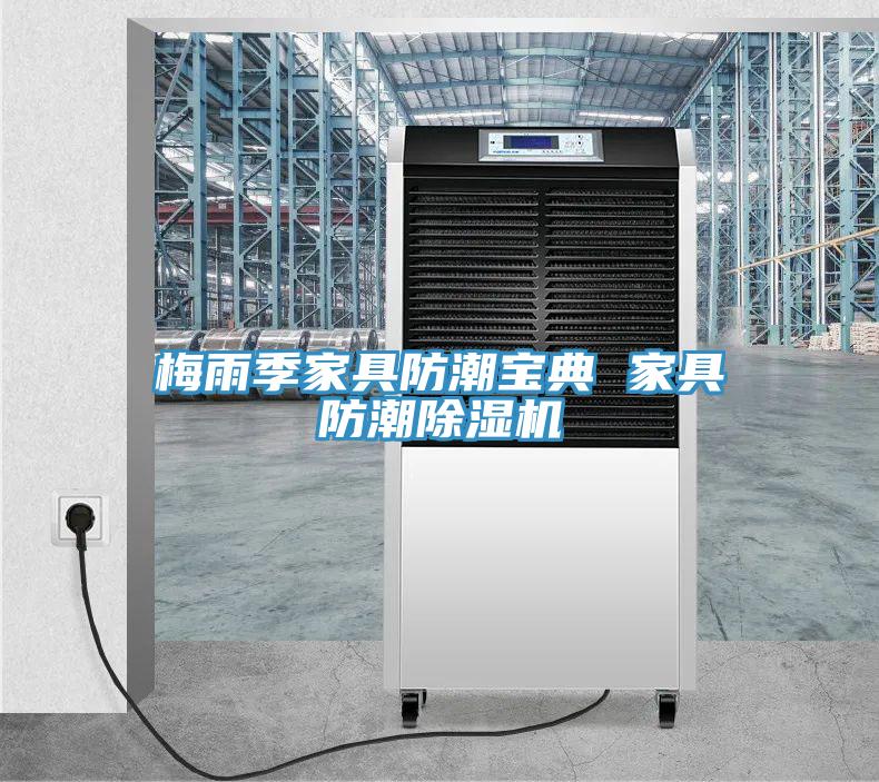 梅雨季家具防潮宝典 家具防潮91免费网站在线观看