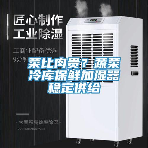 菜比肉贵？蔬菜冷库保鲜加湿器稳定供给