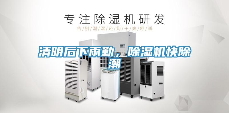 清明后下雨勤，91免费网站在线观看快除潮