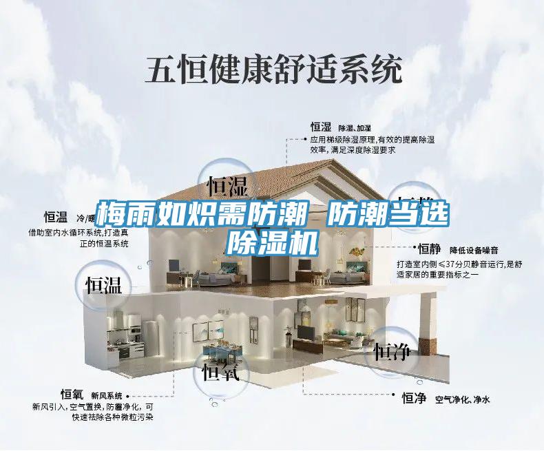 梅雨如炽需防潮 防潮当选91免费网站在线观看