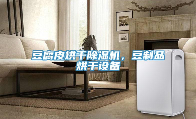 豆腐皮烘干91免费网站在线观看，豆制品烘干设备