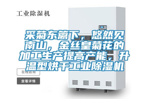 采菊东篱下，悠然见南山，金丝皇菊花的加工生产提高产能，升温型烘干工业91免费网站在线观看
