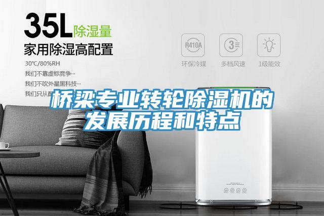 桥梁专业转轮91免费网站在线观看的发展历程和特点