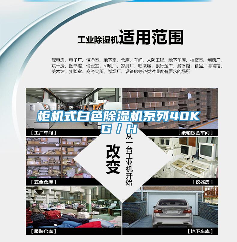 柜机式白色91免费网站在线观看系列40KG／H