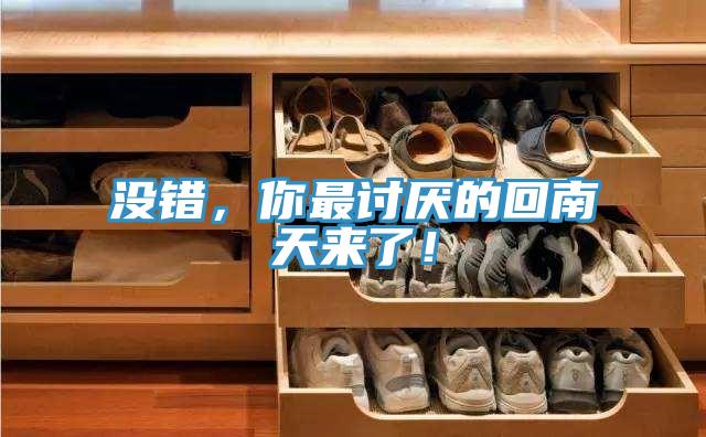 没错，你最讨厌的回南天来了！