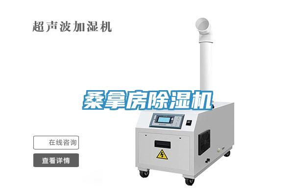 桑拿房91免费网站在线观看