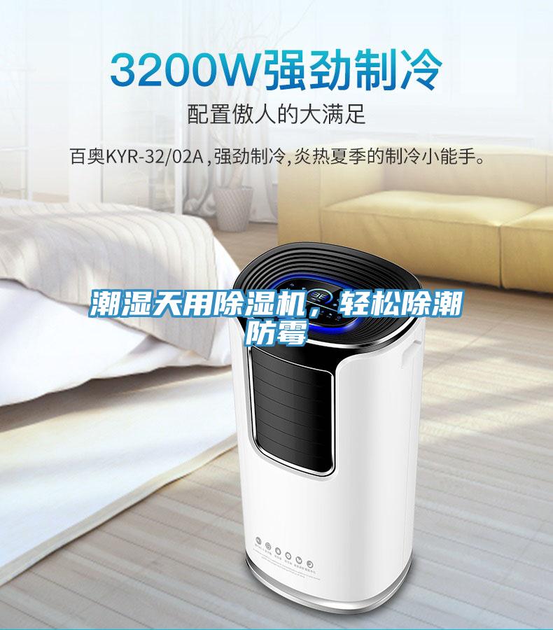 潮湿天用91免费网站在线观看，轻松除潮防霉