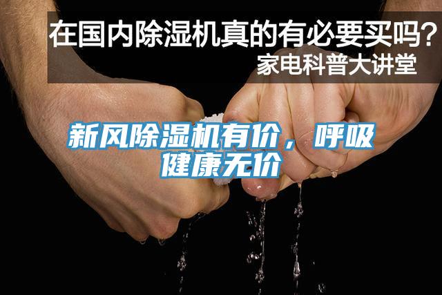 新风91免费网站在线观看有价，呼吸健康无价