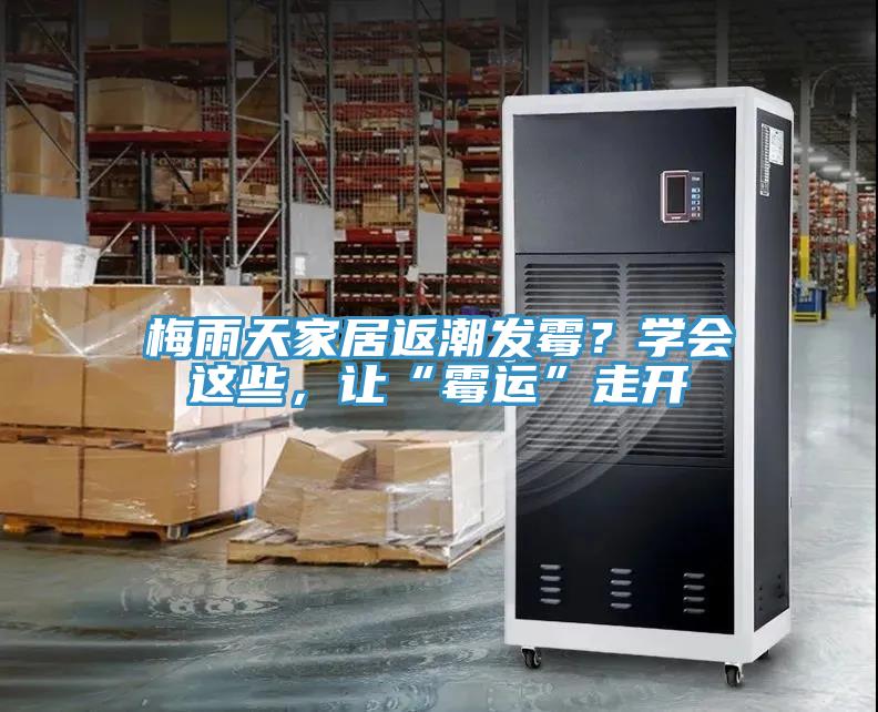 梅雨天家居返潮发霉？学会这些，让“霉运”走开