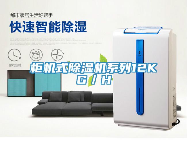 柜机式91免费网站在线观看系列12KG／H