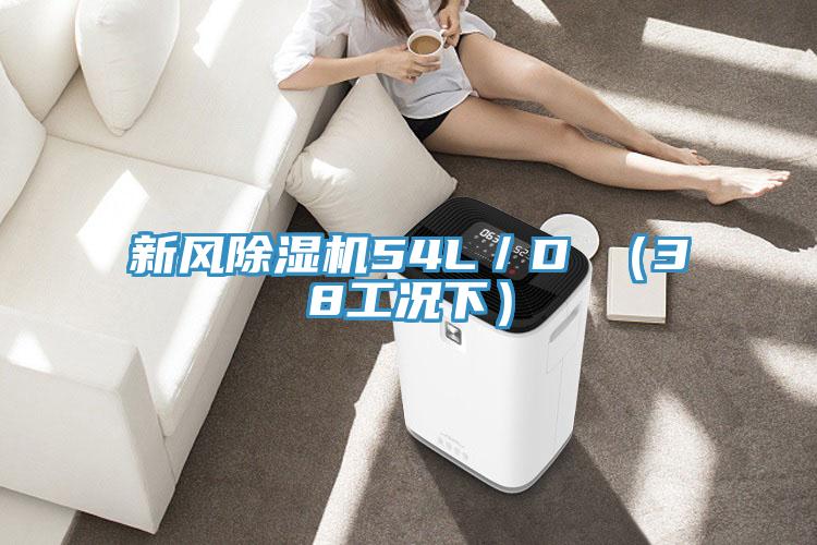 新风91免费网站在线观看54L／D （38工况下）