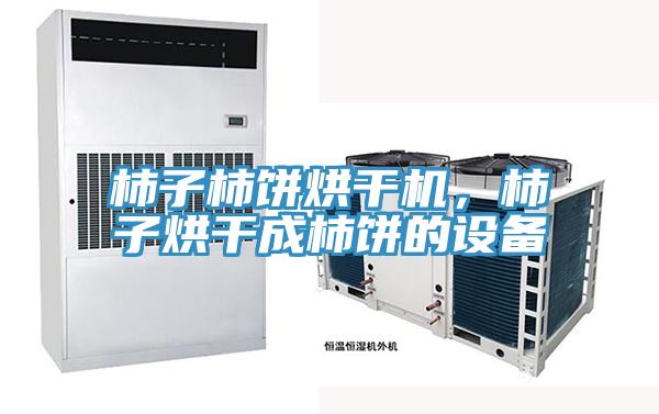 柿子柿饼烘干机，柿子烘干成柿饼的设备