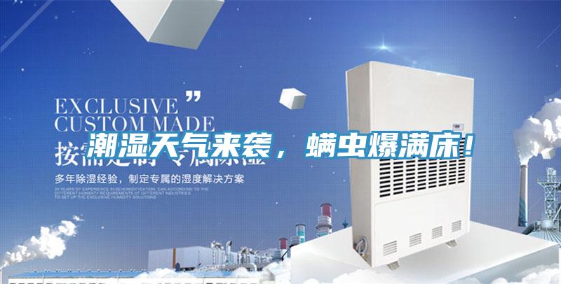 潮湿天气来袭，螨虫爆满床！