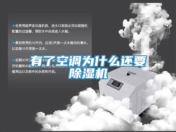 有了空调为什么还要91免费网站在线观看