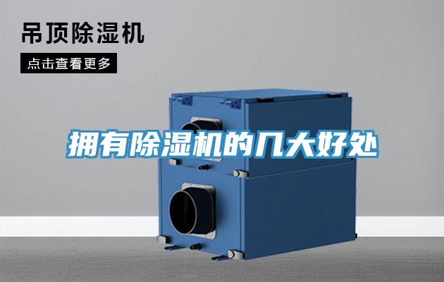 拥有91免费网站在线观看的几大好处