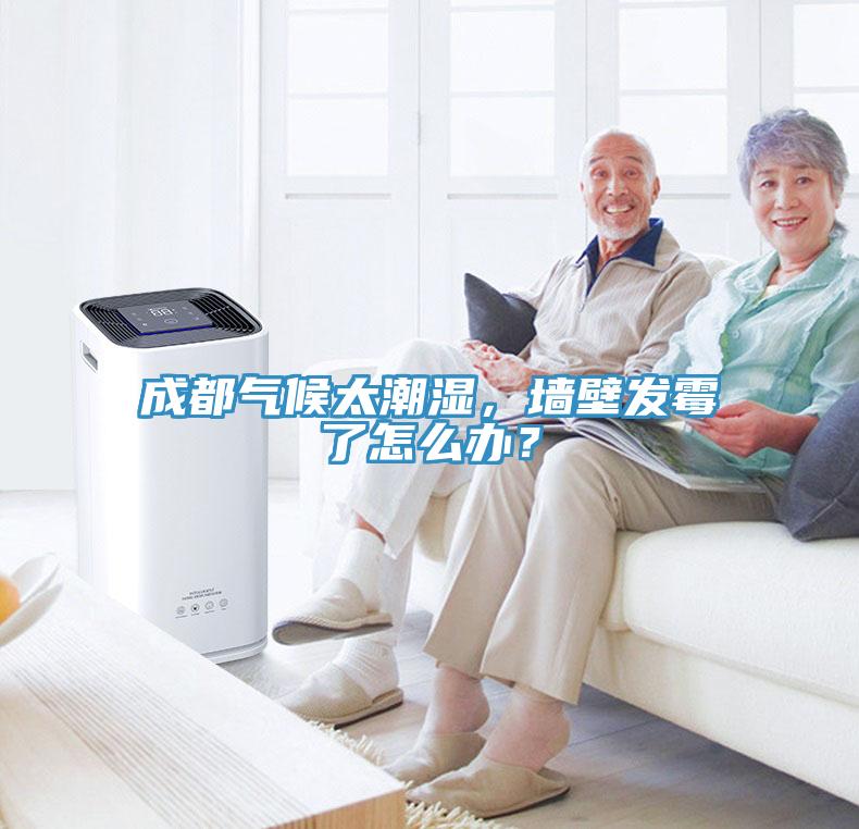 成都气候太潮湿，墙壁发霉了怎么办？
