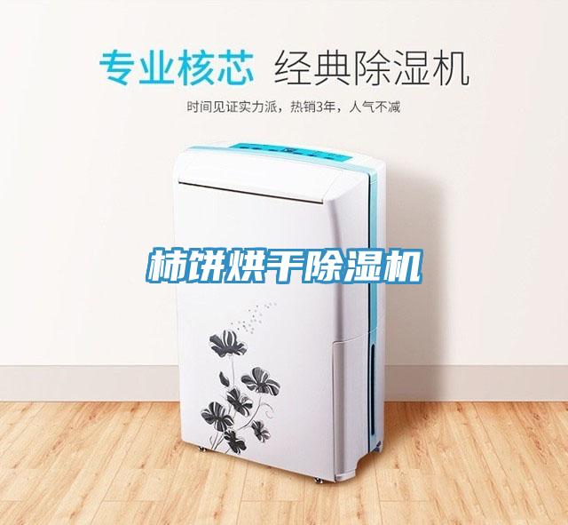 柿饼烘干91免费网站在线观看