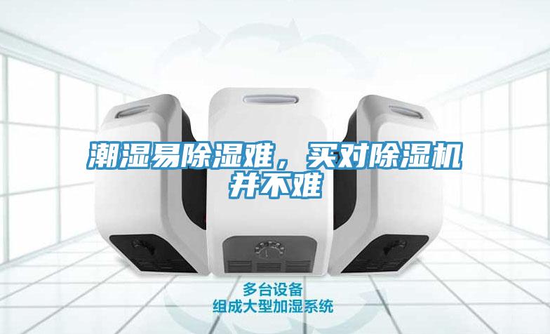 潮湿易除湿难，买对91免费网站在线观看并不难