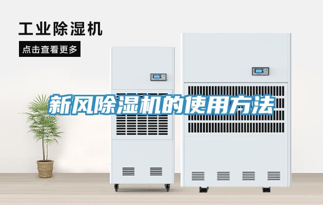 新风91免费网站在线观看的使用方法