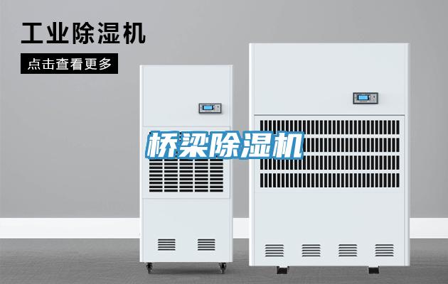 桥梁91免费网站在线观看