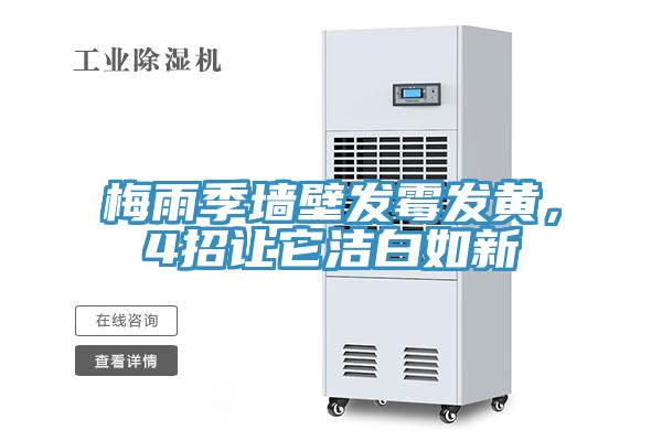 梅雨季墙壁发霉发黄，4招让它洁白如新