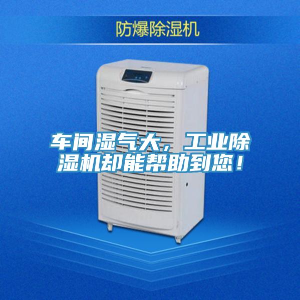车间湿气大，工业91免费网站在线观看却能帮助到您！