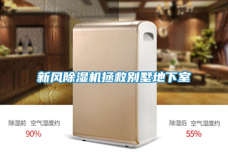 新风91免费网站在线观看拯救别墅地下室