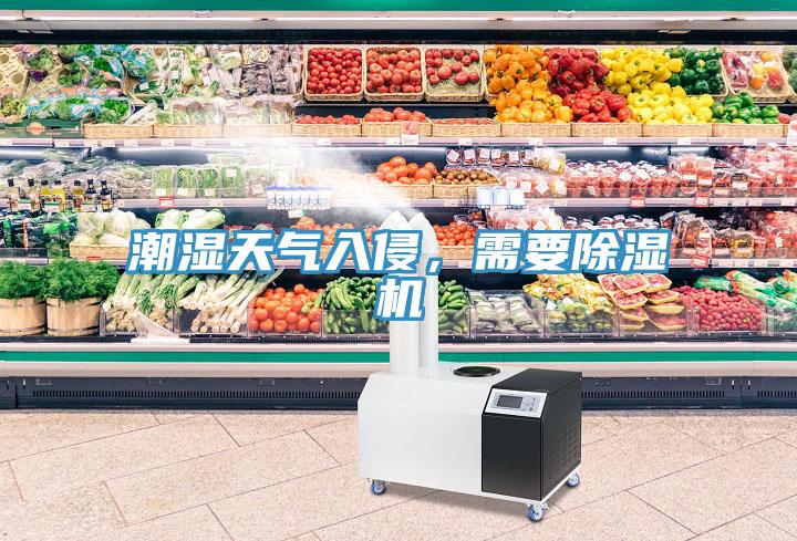 潮湿天气入侵，需要91免费网站在线观看