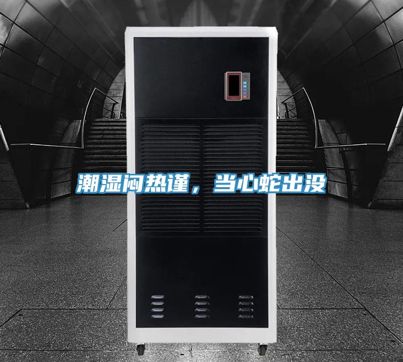 潮湿闷热谨，当心蛇出没