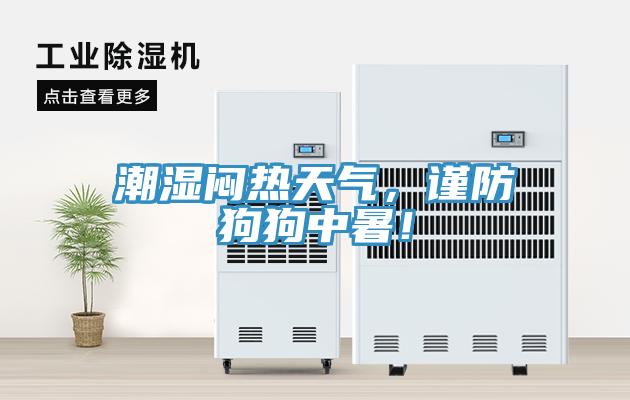 潮湿闷热天气，谨防狗狗中暑！