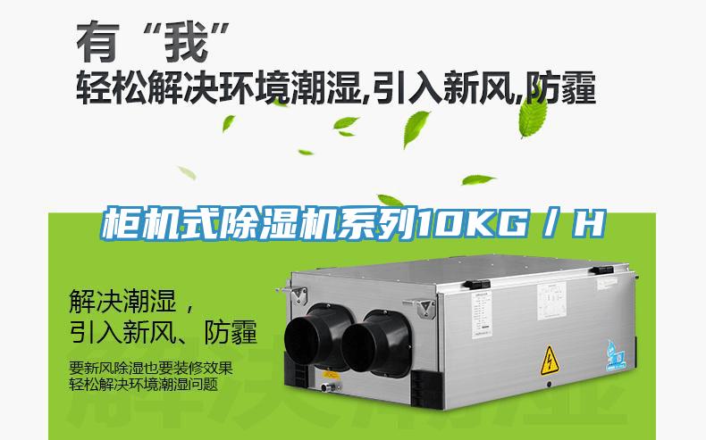 柜机式91免费网站在线观看系列10KG／H