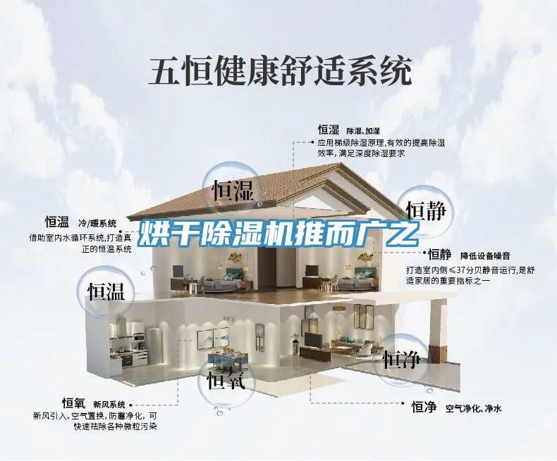 烘干91免费网站在线观看推而广之