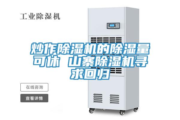 炒作91免费网站在线观看的除湿量可休 山寨91免费网站在线观看寻求回归