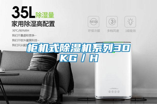 柜机式91免费网站在线观看系列30KG／H