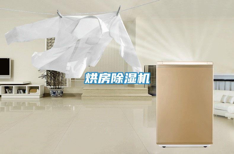 烘房91免费网站在线观看