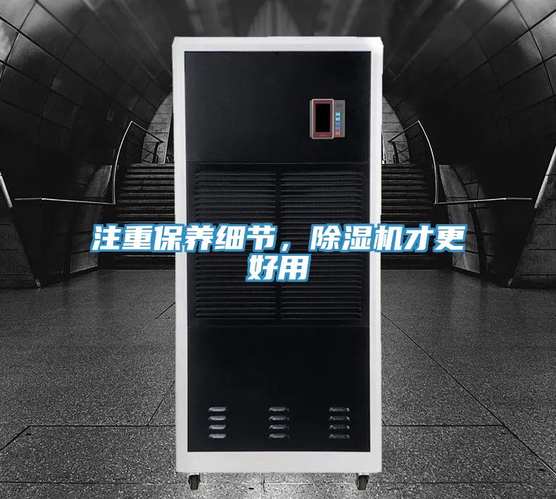 注重保养细节，91免费网站在线观看才更好用
