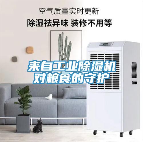 来自工业91免费网站在线观看对粮食的守护