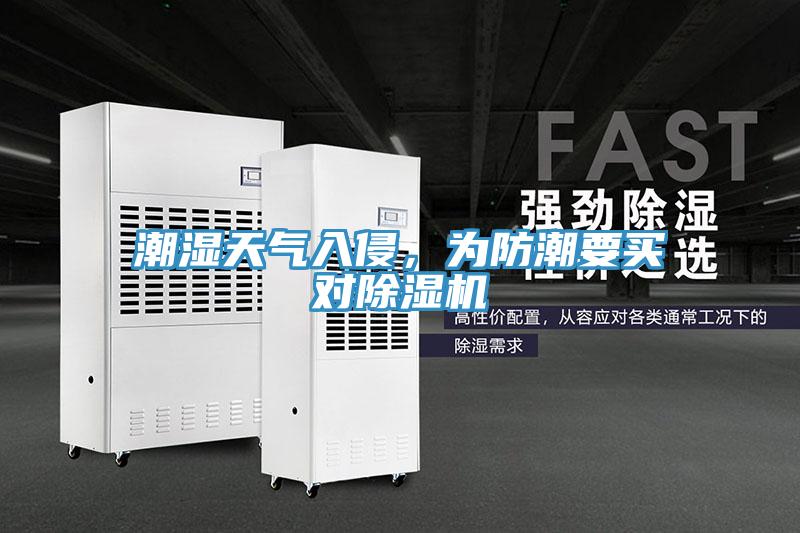 潮湿天气入侵，为防潮要买对91免费网站在线观看