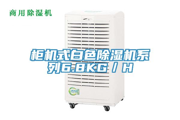 柜机式白色91免费网站在线观看系列6.8KG／H