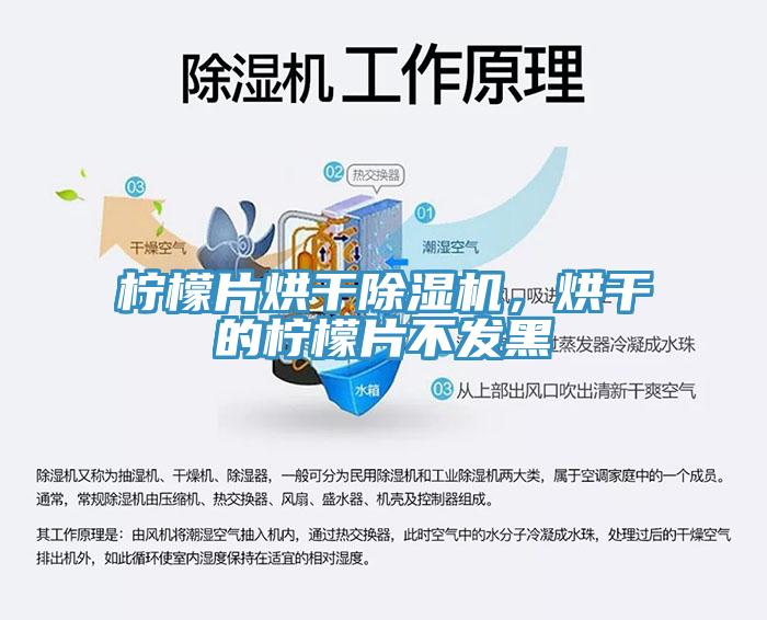 柠檬片烘干91免费网站在线观看，烘干的柠檬片不发黑
