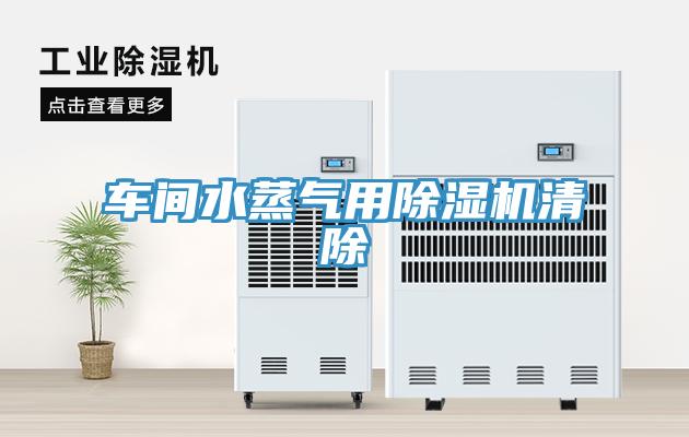 车间水蒸气用91免费网站在线观看清除