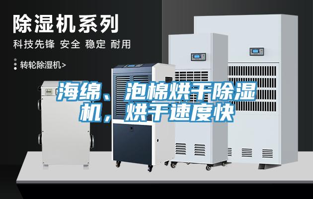 海绵、泡棉烘干91免费网站在线观看，烘干速度快
