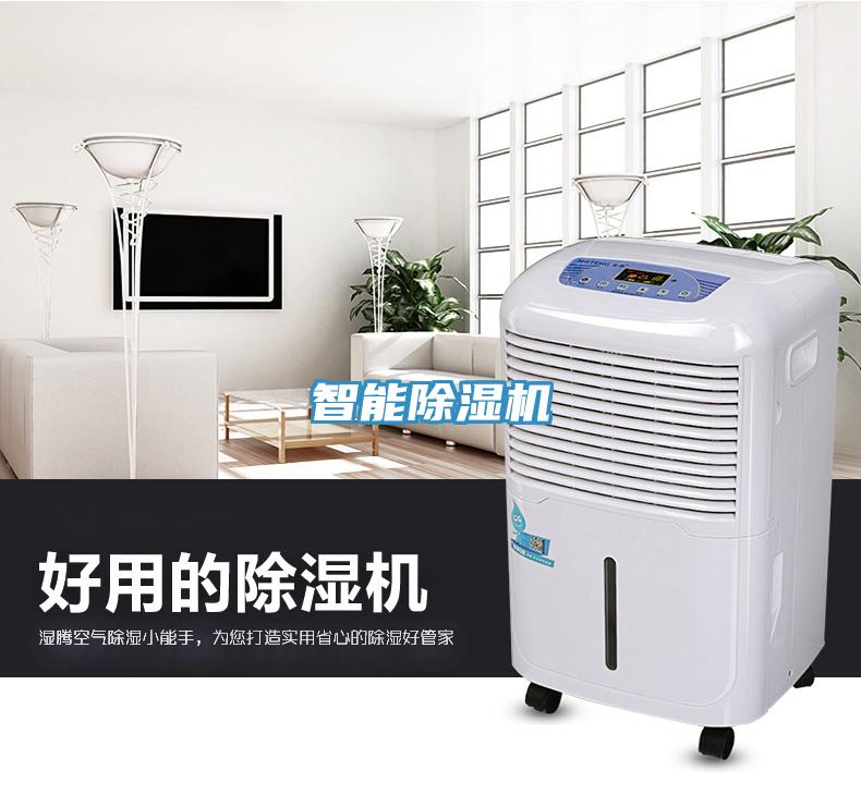 智能91免费网站在线观看