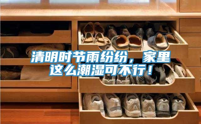 清明时节雨纷纷，家里这么潮湿可不行！