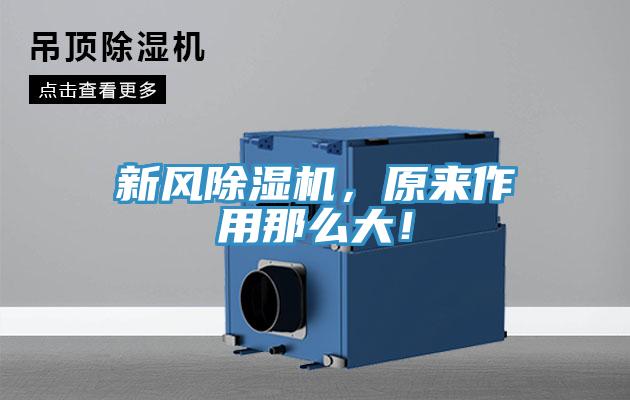 新风91免费网站在线观看，原来作用那么大！