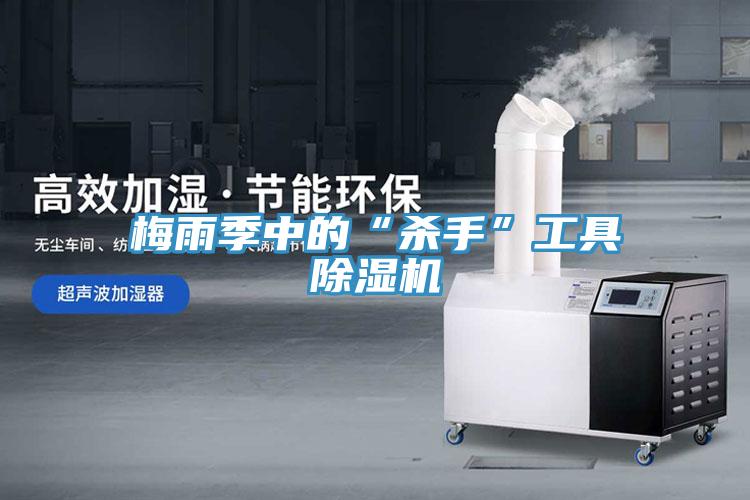 梅雨季中的“杀手”工具91免费网站在线观看