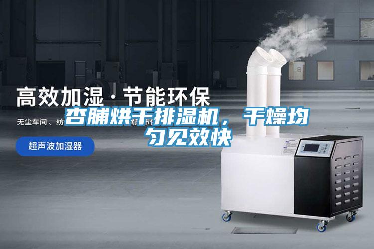 杏脯烘干排湿机，干燥均匀见效快