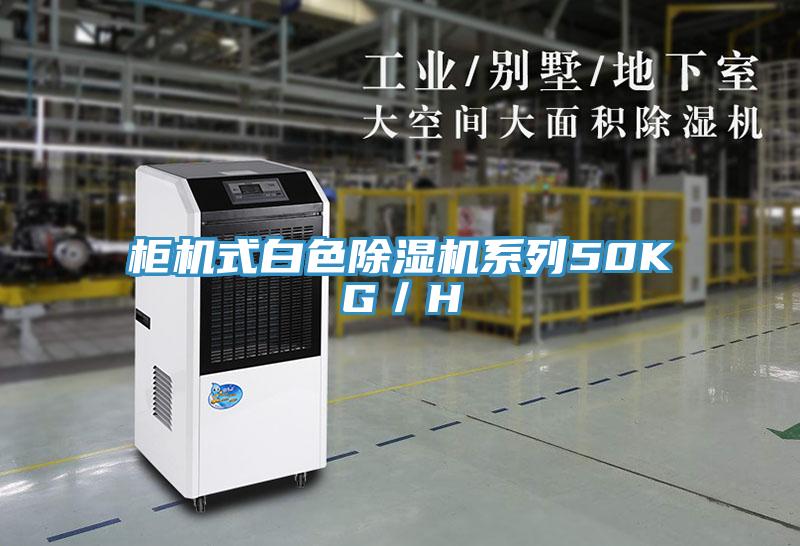 柜机式白色91免费网站在线观看系列50KG／H