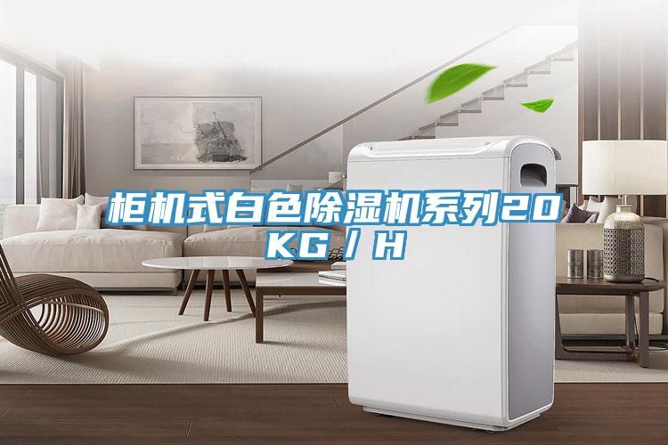 柜机式白色91免费网站在线观看系列20KG／H
